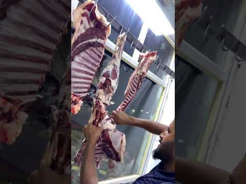 لحم غنم عراقي سعر الكيلو ١٢ الف دينار من الغالي القصاب سيف المشهداني منطقة شاطىء التاجي