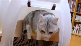 #08 うにのおトイレ事情|　うにの「うにっき動画」