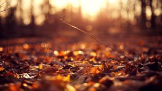 Rotkesh - Autumn Original Mix