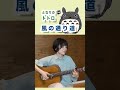 ソロギター 風の通り道 となりのトトロ
