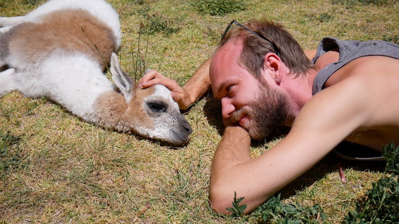 State of Mind - Ruben Degendorfer