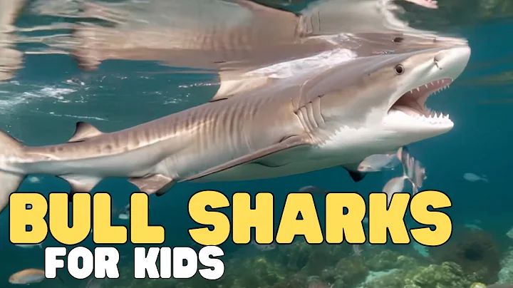 Bull Sharks for Kids | Learn all about this adaptive animal