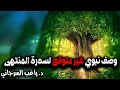 وصف نبوي غير متوقع لسدرة المنتهى 