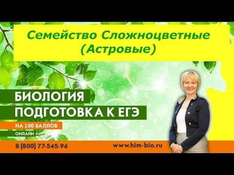 Семейство Сложноцветные . Теория и практика ЕГЭ/ОГЭ 2017. Биология .