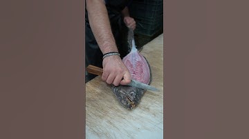 How to Fillet Flounder Like a Pro – Easy Skin Removal Trick