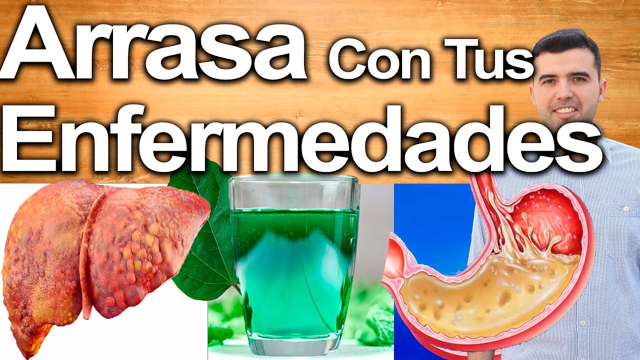 La Clorofila Te Salva - Para Qu� Sirve - Beneficios Y Propiedades De La Clorofila Para La Salud