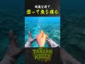 綺麗な海で魚を銛1本で取りまくる沖縄ターザンキジー #shorts