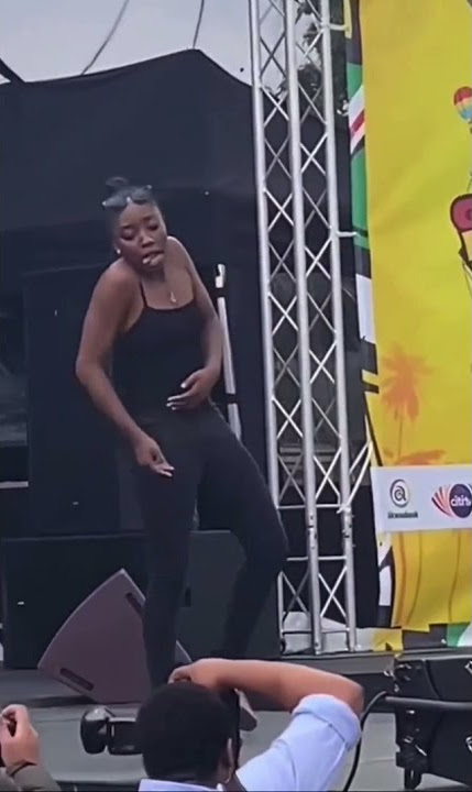 Ghana 🇬🇭 party in the park✨ nice performance 🔥🔥 #azonto #afro