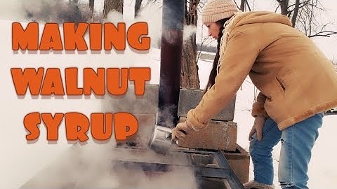 HOW TO MAKE WALNUT SYRUP #walnutsyurp #treetapping