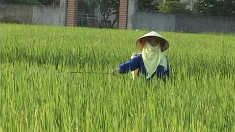 khoa học và công nghệ - động lực phát triển kinh tế