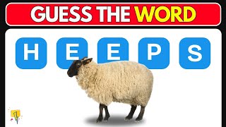 Kitty Letters #2 - Can You Guess The Five Letters Word in 15 Seconds?