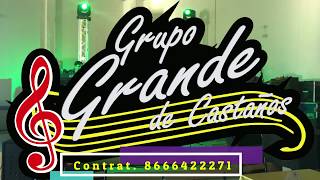 Grupo Grande de Castaños en vivo - Hoy tengo ganas de tí