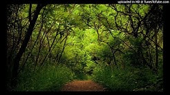 Swami - Nyanyian Jiwa - Durasi: 8:26. Swami - Nyanyian Jiwa - Durasi: 8:26.