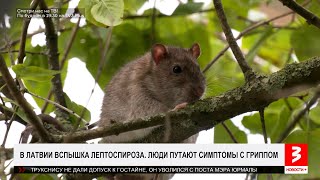 видео: Опасная болезнь! Не путайте симптомы с гриппом! «Новости+», 30 октября 2025 г. картинка: Опасная болезнь! Не путайте симптомы с гриппом! «Новости+», 30 октября 2025 г.