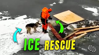 Rescue Team Saves a Dog Stuck on Ice Near Shore