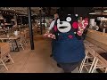 Kumamon au pays des bretons ou comment attirer dans la rgion les touristes du japon 