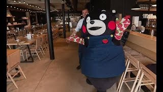 Kumamon au Pays des bretons. Ou comment attirer dans la région les touristes du Japon ?