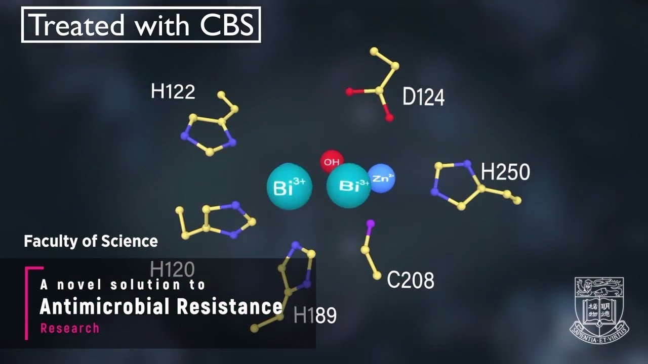 HKU medical chemists discover peptic ulcer treatment metallodrug effective in “taming” superbugs