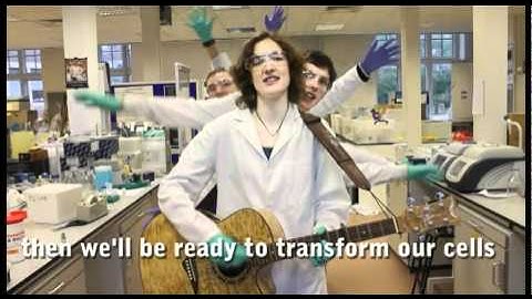 The Gibson Assembly Song