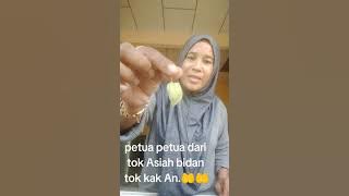 pokok letup kelambu terbaik untuk jantung 👌😂😂😂