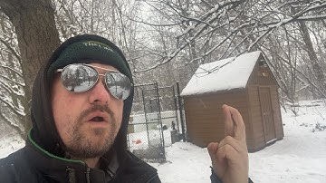 On the hunt LIVE - will I SNAG a Signal TAG?