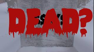 Are Essays Dead?