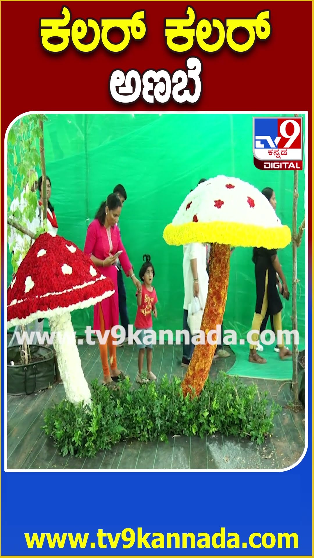 ಕಲರ್ ಕಲರ್ ಅಣಬೆ #Flowershow #Tv9D