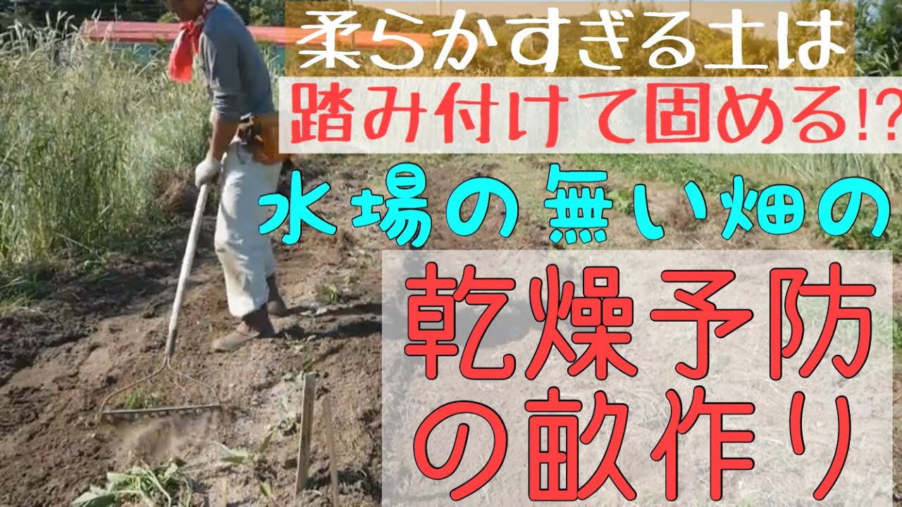 柔らかい土の畝作り 草マルチの作り方 ジャガイモの土寄せ19年5月23日自然農法 Youtube