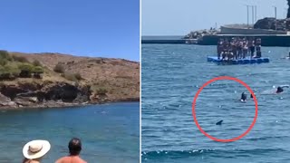 DOS TIBURONES SORPRENDEN A LOS BAÑISTAS DE LA PLAYA DE PORTBOU, GIRONA