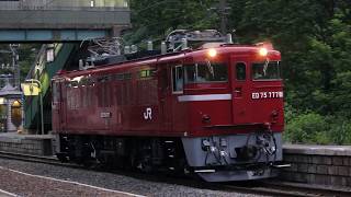 奥羽本線 ED75形 単9650レ 鶴ヶ坂駅発車 2019年7月18日