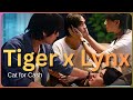 MV TIGER LYNX Cat For Cash Doki Doki I Keep Falling BL 