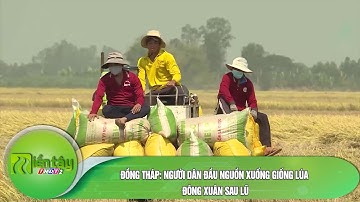 Đồng Tháp Người dân đầu nguồn xuống giống lúa đông xuân sau lũ