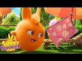 SUNNY BUNNIES - Funny Magic Tricks | Season 2 | Cartoons for Children