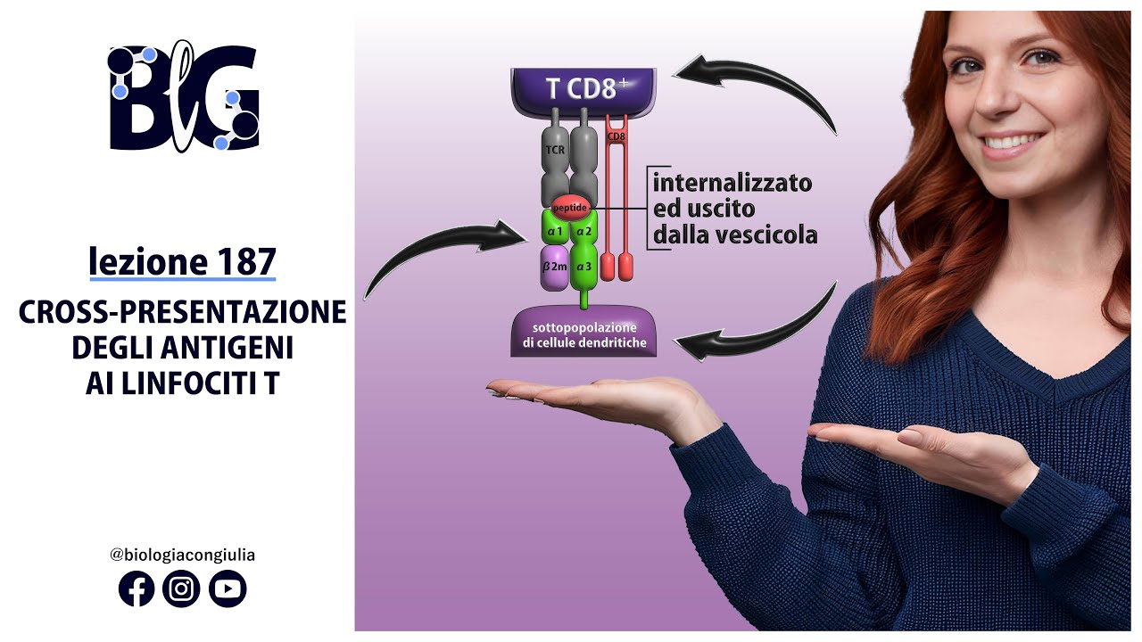 CROSS-PRESENTAZIONE degli ANTIGENI ai LINFOCITI T