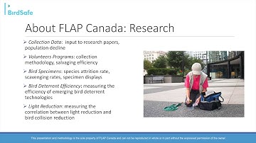 Biophilic Cities Presents: Michael Mesure Webinar on Fatal Bird Collisions