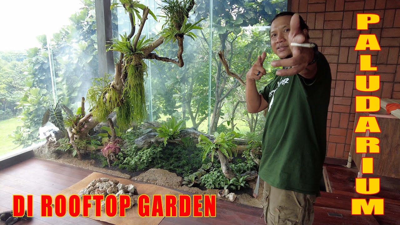 Final Project Raffles Rooftop Garden; Eps 07 - YouTube