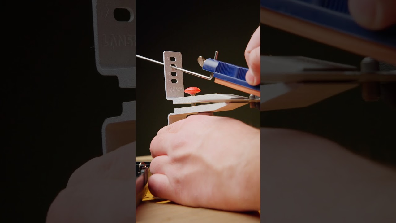 Lansky Professional Sharpening System