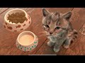 Cute Little Kitten Adventure - Learn Alphabet ABC Preschool Educational Animated video for kids