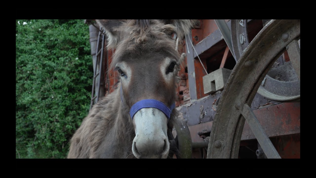 Parafone - Duciamara Teaser