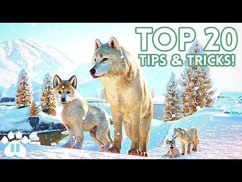 planet zoo ราคา  2022 Update  Top 20 Tips \u0026 Tricks in Planet Zoo