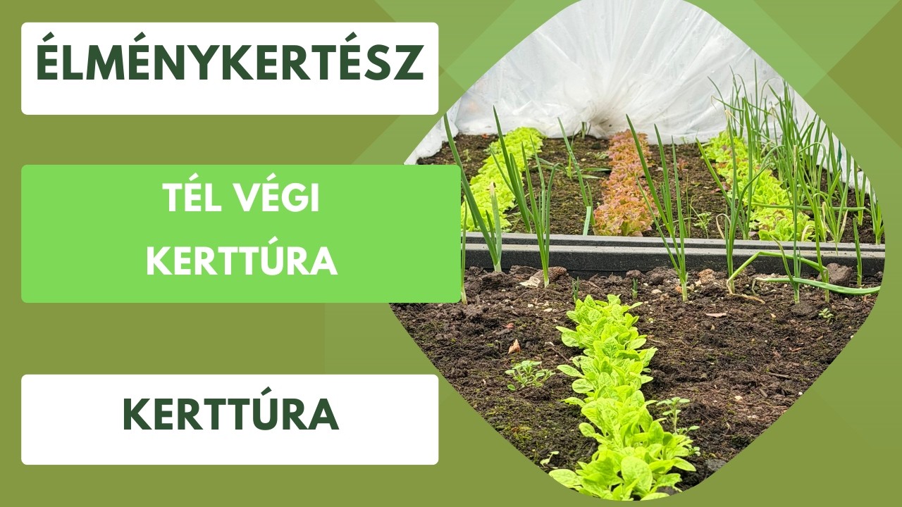 Kerttúra a tél utolsó napján🥬