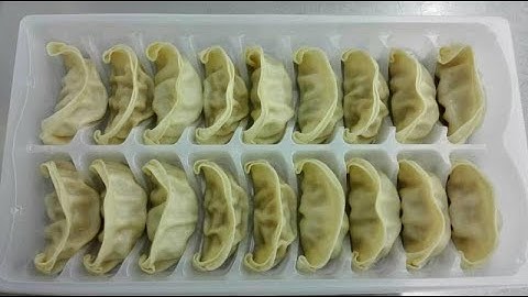 small size automatic tabletop dumpling maker gyoza machine 小型台式饺子机