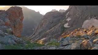 Zirve Tek Kişiliktir.. Ğa Şarı