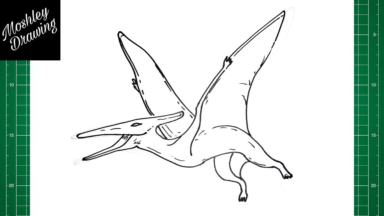 How to draw a PTERODACTYL pterosaur 