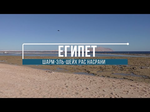 Видео: Пляж Coral Sea Sensatori Рас Насрани Шарм эль Шейх Египет #египет