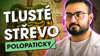 Tlusté střevo ...Polopaticky