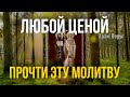 Любой ценой прочти эту молитву и удача будет с тобой весь год!