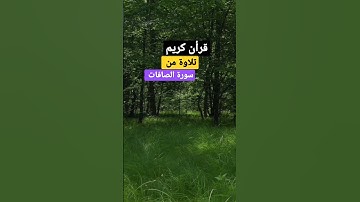 قرأن كريم تلاوة من سورة الصافات