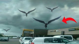 These Strange Creatures Were Actually Seen in the Sky.. by 50M Videos 5,104 views 1 day ago 20 minutes