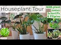 Houseplant Tour With Plant Names (Tagalog and Scientific Names)